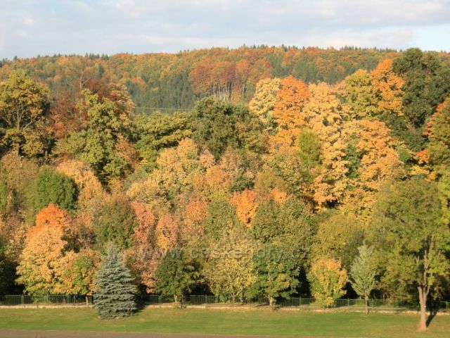 podzimní barvy stromů I