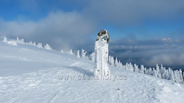Slůně - Králický Sněžník