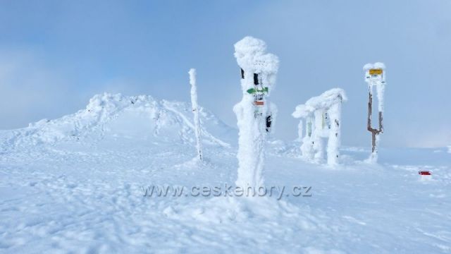 Králický Sněžník - vrchol