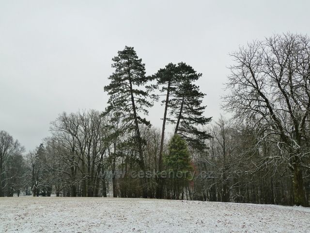 Žamberk - zámecký park, tři grácie v zimě
