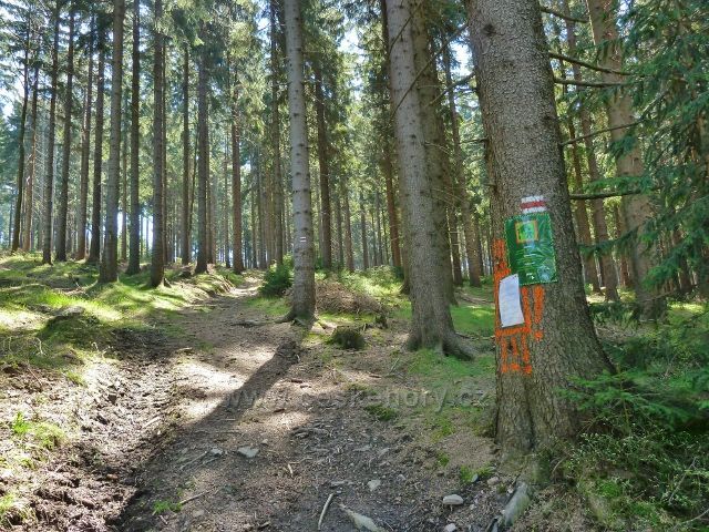 Zákaz vstupu do lesa mimo turistickou cestu po červené TZ na vrchol Suchého vrchu