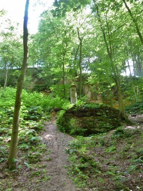 Lesopark Debř -miniatura zříceniny hradu Kokořín se jmenuje Kokořínek 