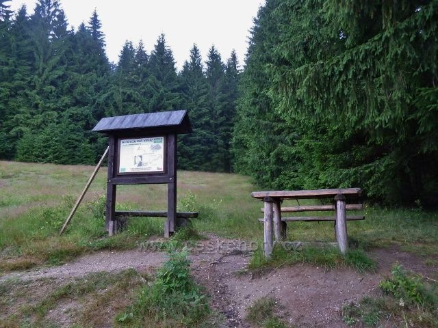 Visalaje - odpočívadlo a panel  NS Bílý kříž - Gruň na okraji lesní louky