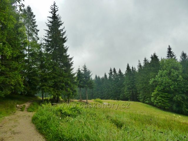 Visalaje - cesta na Gruň z Bílého kříže vede po horním okraji lesní louky