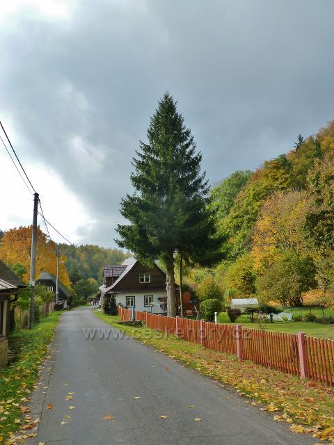 Těchonín - barvy podzimu v horní části obce