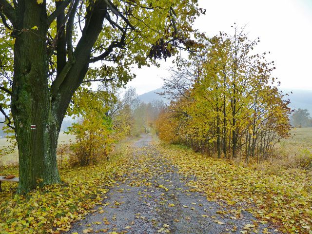 Vlčkovice - podzimní cesta po červené TZ na Kostelní vrch