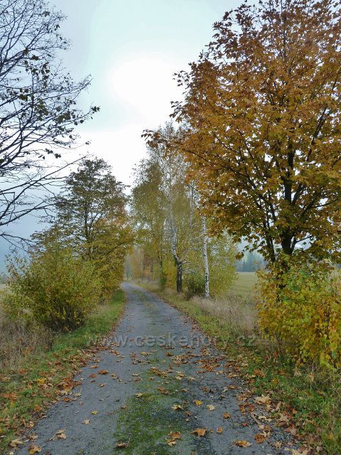 Vlčkovice - cesta po červené TZ na Kostelní vrch v barvách podzimu