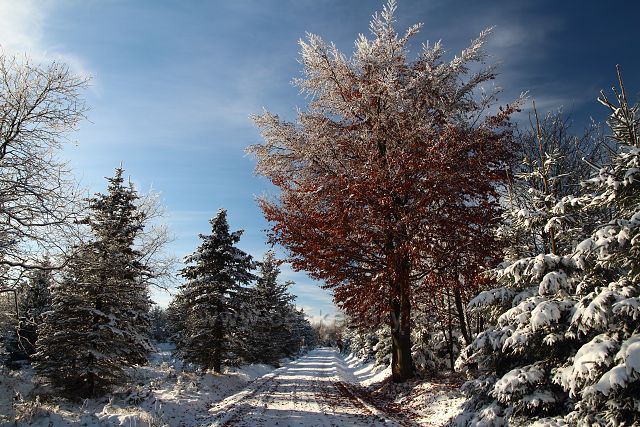Podzim i zima u Dlouhé Louky