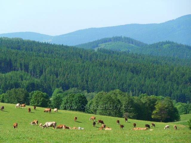 Pastviny na úbočí Valu