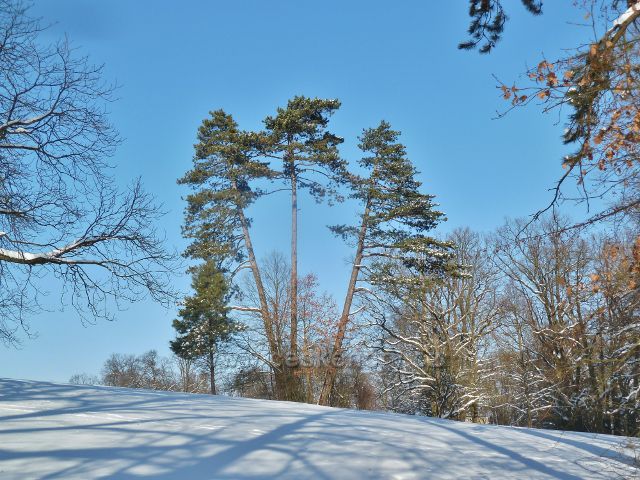 Žamberk - tři grácie v zimním zámeckém parku