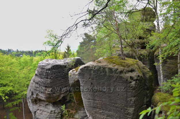 Arboretum Bukovina-vyhlídka