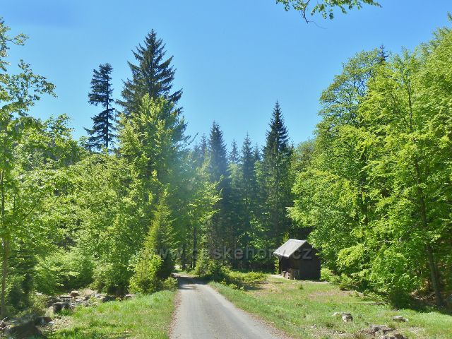 Lovecká chata v údolí Klepáčského potoku