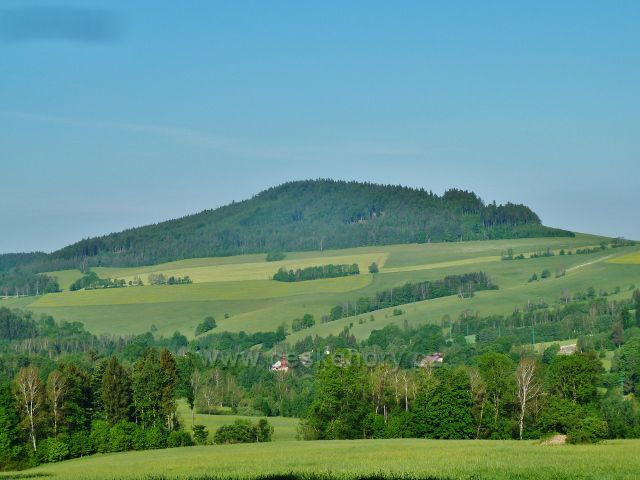 Mladkov - pohled od bývalé lesní školky na vrch Studený(721 m.n.m.)