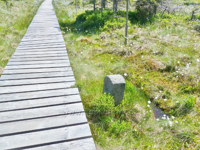 Starý hraniční kámen u chodníku přes Malý Jezerník