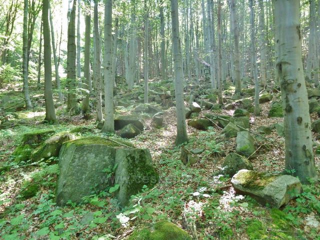 Vápenná - kamenitý svah Jasanového vrchu po kterém stoupá cesta po modré TZ k Žulovému vrchu