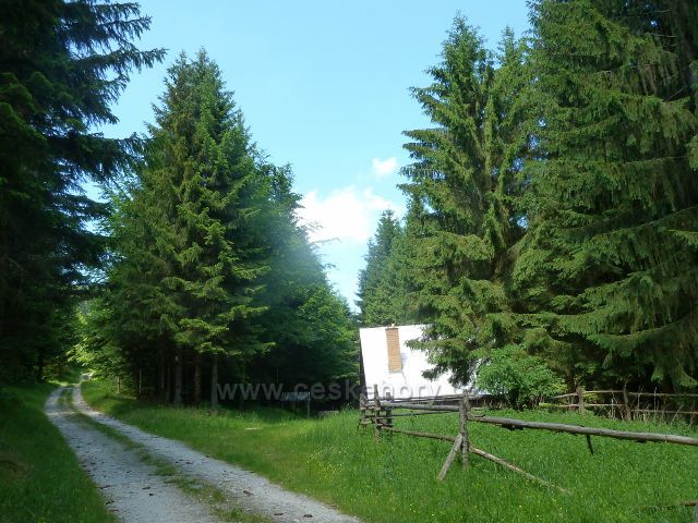 Lázně Jeseník - lovecká chata na úbočí Studničního vrchu