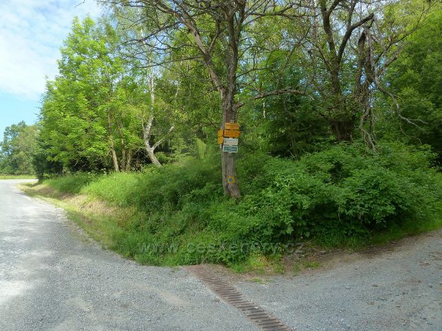Loučná - rozcestí pod Přemyslovským sedlem, vpravo odbočuje cyklostezka do Koutů nad Desnou