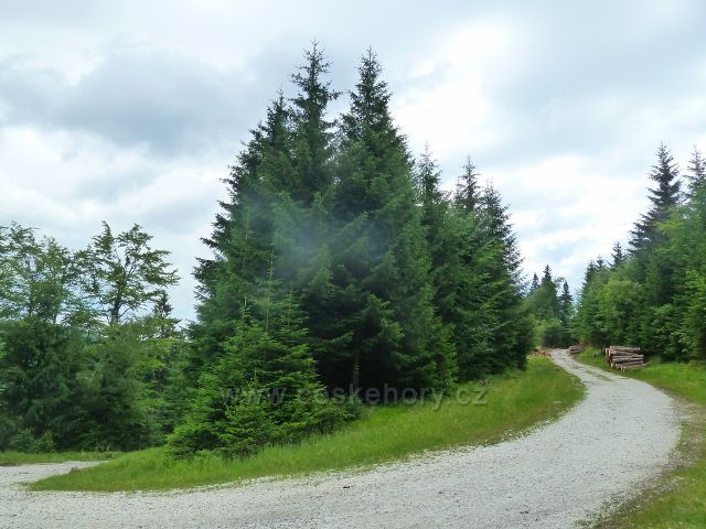 Horní Lipová - křižovatka neznačené cesty s cyklostezkou 6208 pod Lučním vrchem