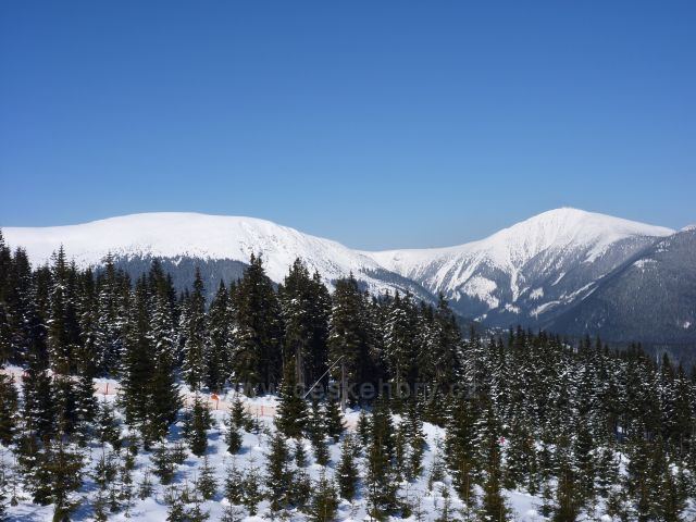 Sněžka a Studniční hora z Hnědého vrchu