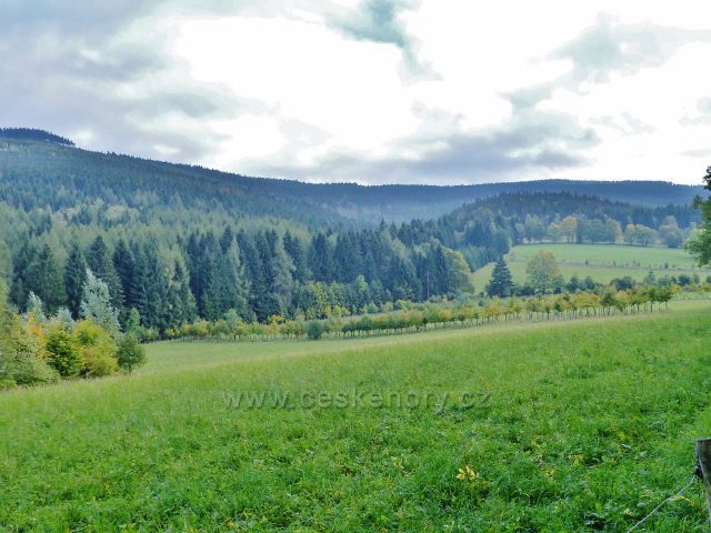 Nové Losiny - pastviny v Přemyslovském sedle, vlevo vrch Černá stráň