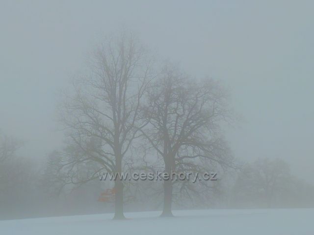 Žamberk - mlha v zámeckém parku