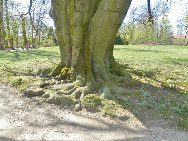 Kostelec nad Orlicí - zámecký park