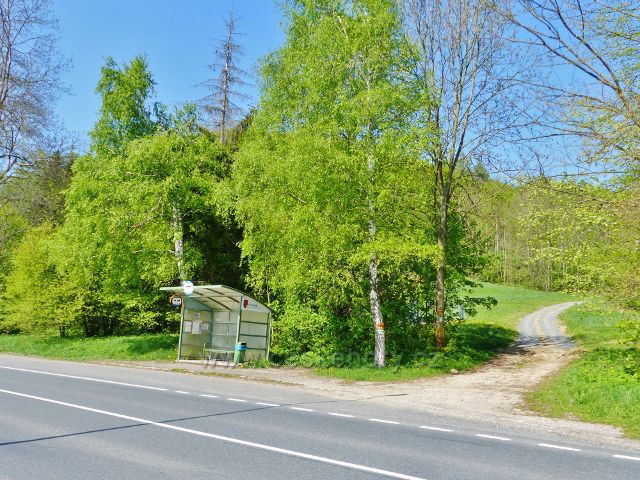 Mlýnický Dvůr - cesta po zelené TZ vyúsťuje u autobusové zastávky na silnici č.11