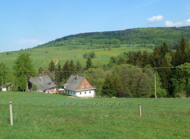Malá Morava - podhorské pastviny
