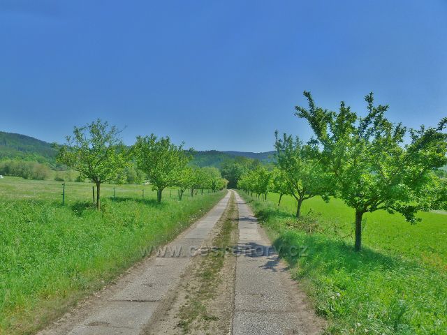 Vikýřovice - zelená TZ od v.n. Krásné do Vikýřovic vede po zpevněné polní cestě