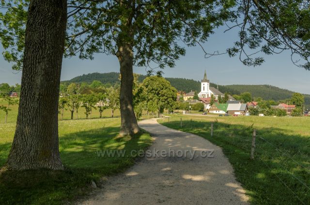 Příchovický kostel sv Víta z lesoparku.