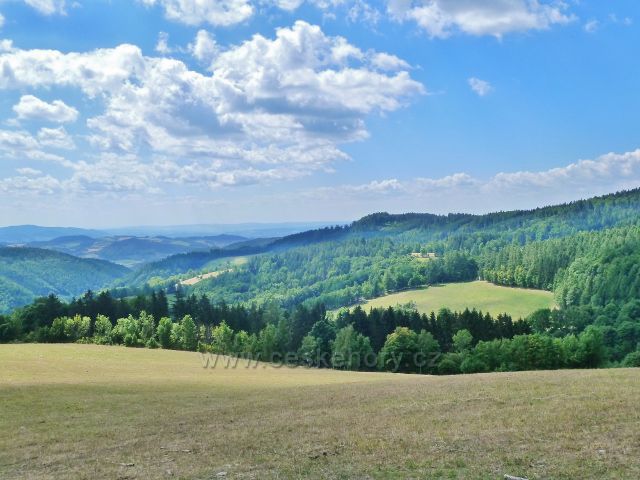 Štědrákova Lhota - pohled z pastviny nad obcí k Hanušovické vrchovině