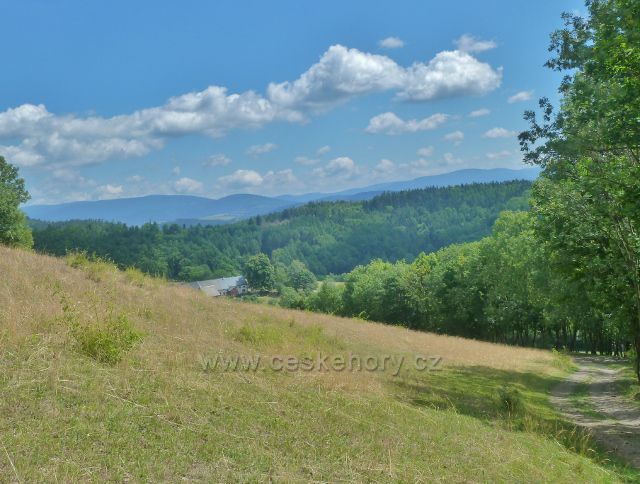 Štědrákova Lhota - pohled z cesty okrajem pastviny nad obcí k Hanušovické vrchovině