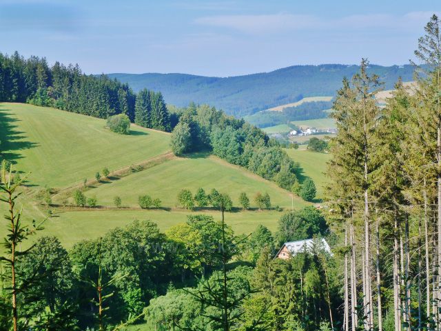 Horní Orlice - pohled z Hraběcí cesty na úbočí vrchu Kamenáč.V pozadí část masivu Bukové hory