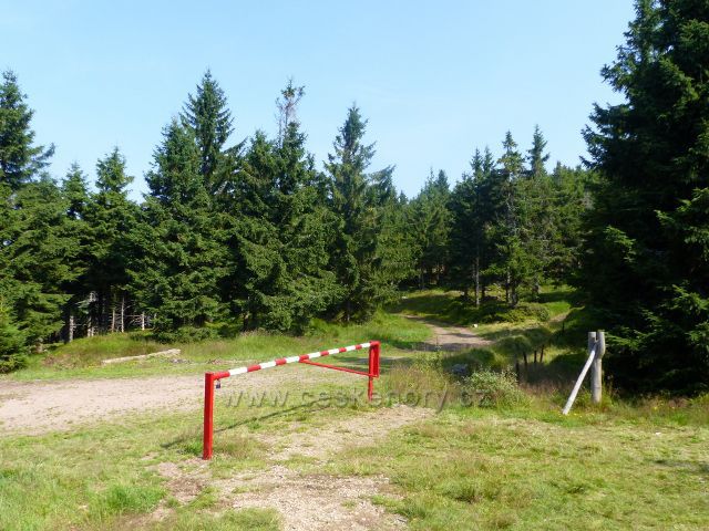 Dolní Morava - polská část sedla Puchača. Vlevo je cesta po žluté TZ do Polska, vpravo pak hraniční stezka po zelené TZ na Malý Sněžník