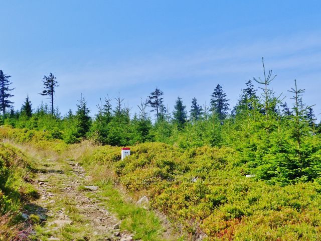 Dolní Morava - stezka po červené a zelené TZ ze sedla Puchača ns vrchol Hleďsebe