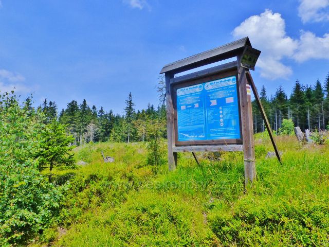 Dolní Morava - informační tabule polských lesníků na okraji porostu zničeného v r.2007 orkánem Kyrill  pad Jelením vrchem