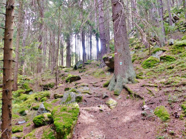 Bečov nad Teplou - kamenitý úsek cesty po zelené TZ ke Třem rybníkům