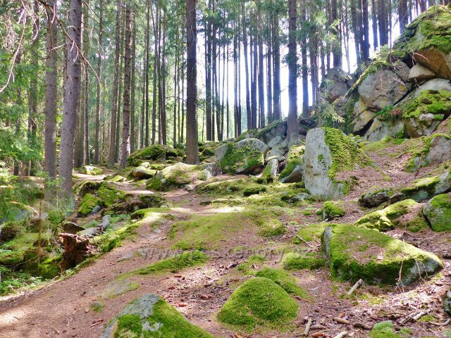 Bečov nad Teplou - cesta po zelené TZ ke Třem rybníkům prochází v úseku kolem bývalé vodárny kamenitým až skalnatým svahem