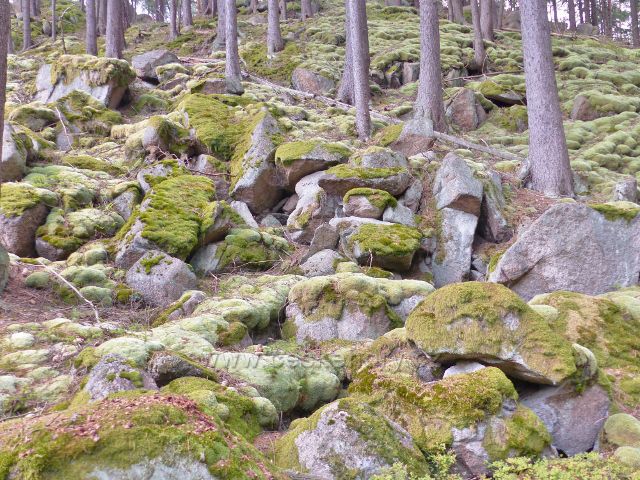 Bečov nad Teplou - skalnatý terén porostlý mechem nad cestou po zelené TZ ke Třem rybníkům