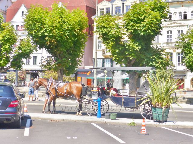 Karlovy Vary - stanoviště koňských kočárů na nábřeží u Divadelního náměstí