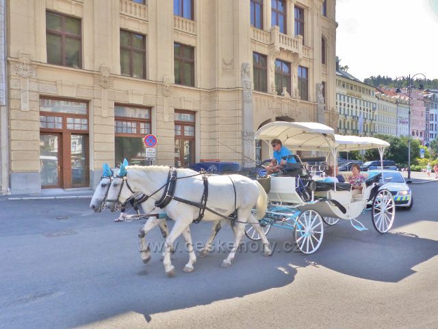 Karlovy Vary - koňský kočár ve Vřídelní ulici