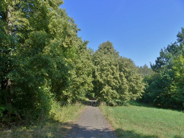 Tachov - silnička, po níž vede trasa po zelené TZ ze Světců k rozhledně Vysoká a památníku Bitvy u Tachova