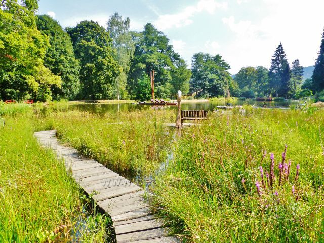 Bečovská botanická zahrada - povalový chodník vede okrajem Korunního rybníku
