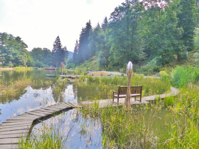 Bečovská botanická zahrada - povalový chodník okrajem Korunního rybníku
