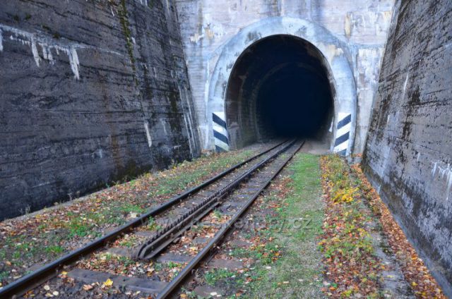 Dolnopolubenský tunel