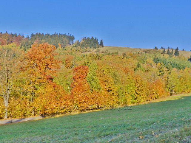 Petrovičky - barevný podzim nad obcí