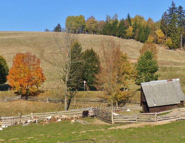 Petrovičky - kozí farma pod hraničním přechodem do Polska