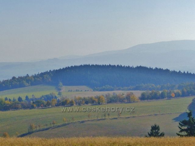 Petrovičky - pohled na úbočí Předního a Zadní hraniční vrch( 712 m.n.m.), v pozadí část masívu Králického Sněžníku