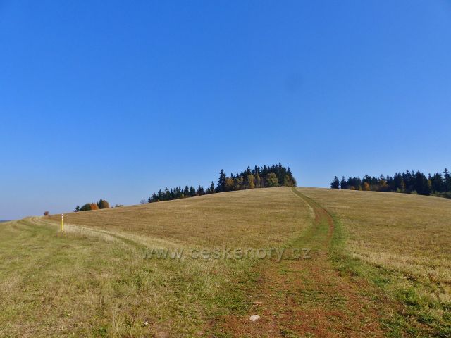 Petrovičky - neznačená  hřebenovka po pastvině od Kašparovy chaty, vlevo značená trasa vrstevnicové cesty po červené TZ