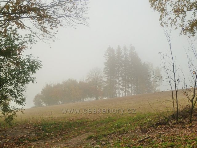Lichkov - mlha na lichkovských pastvinách